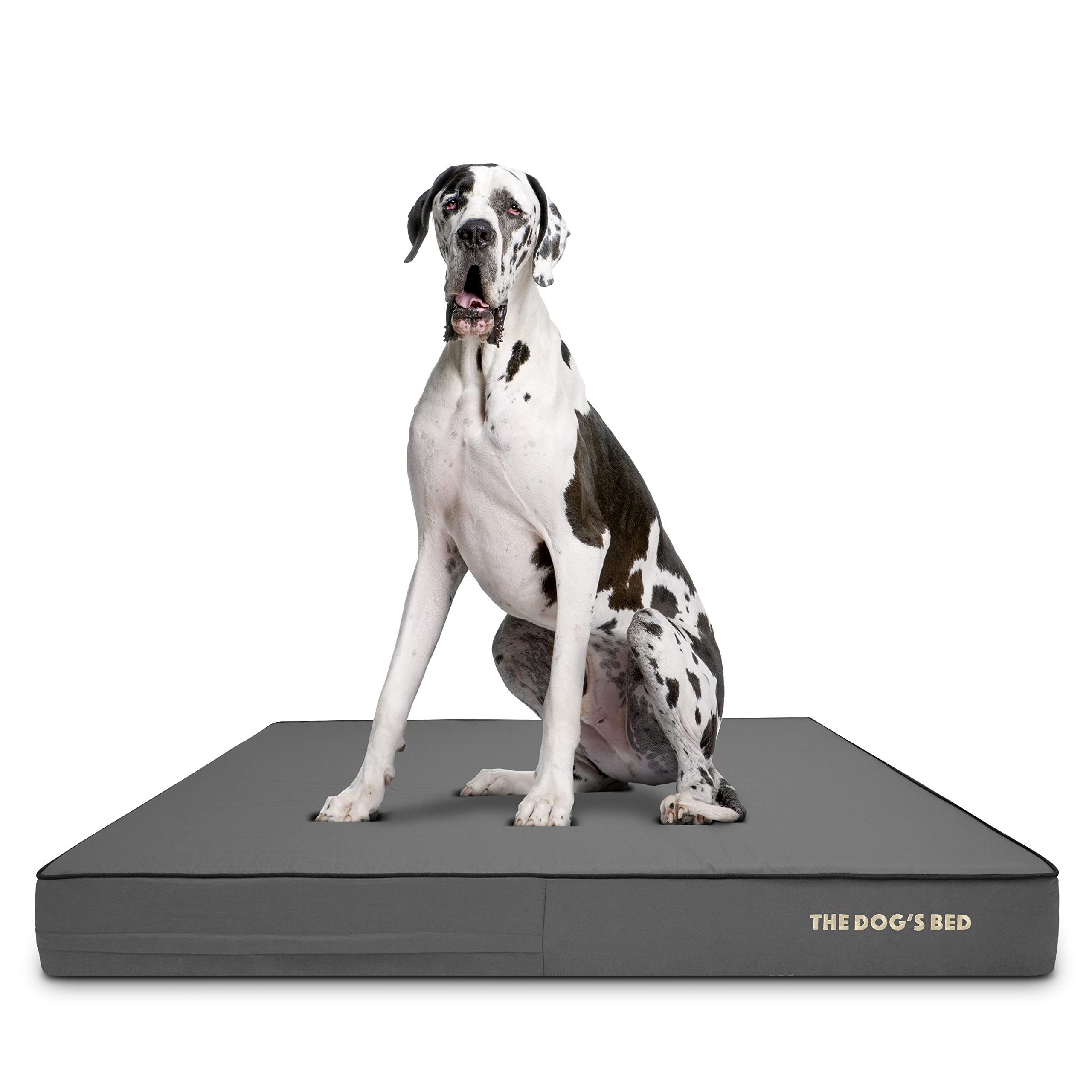 Orthopedic Memory Foam Dog Bed for Large Dogs - XXL 54x36 Inches, Waterproof & Supportive Pet Bed with Removable Washable Cover, Grey & Black - Vet Approved for Joint Pain Relief - Perfect for Elderly Dogs or Pets with Arthritis