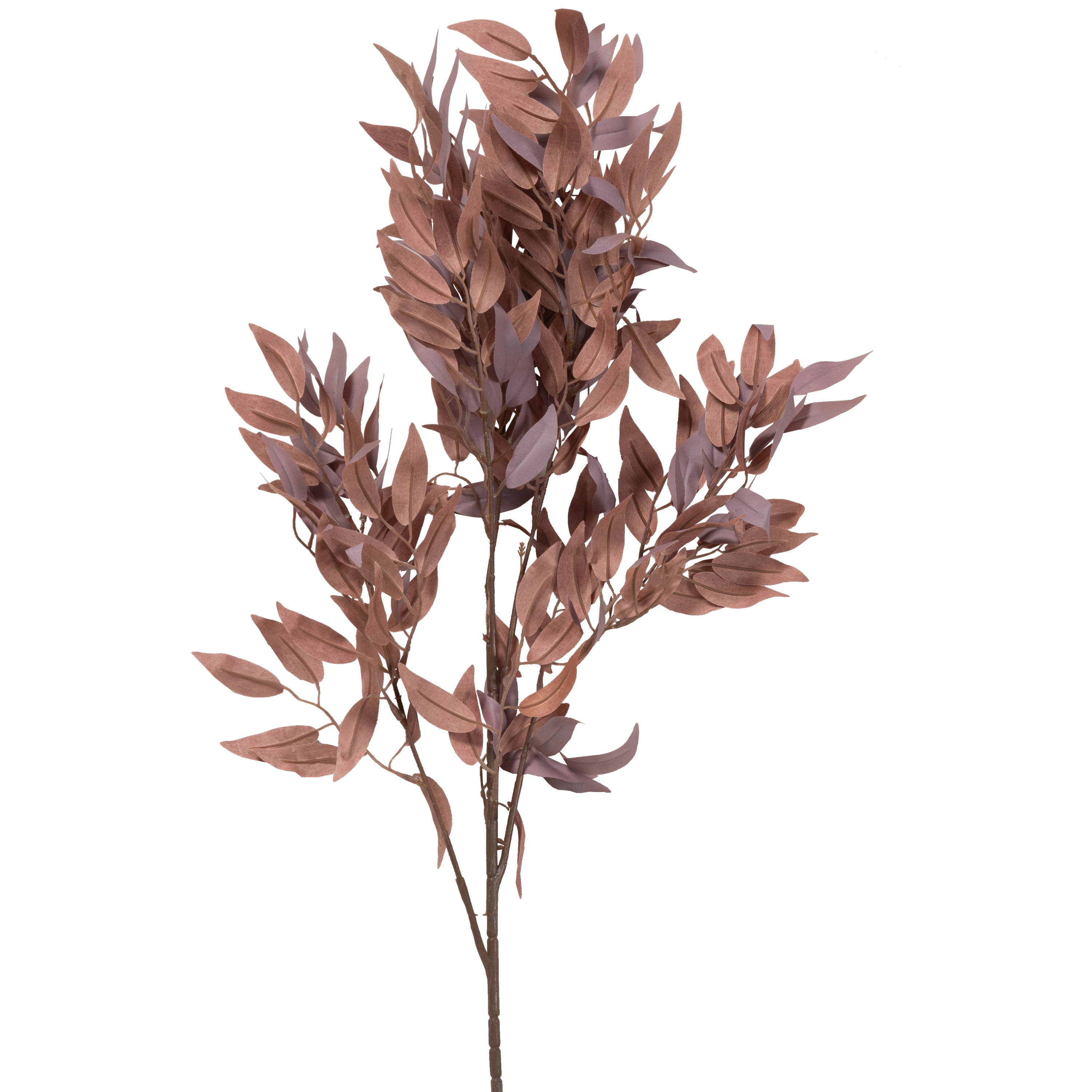 Salix Stem 126982028000 - Premium Willow Stems for Floral Arrangements, DIY Crafts, and Home Decor | Perfect for Wedding Bouquets, Centerpieces, and Seasonal Displays