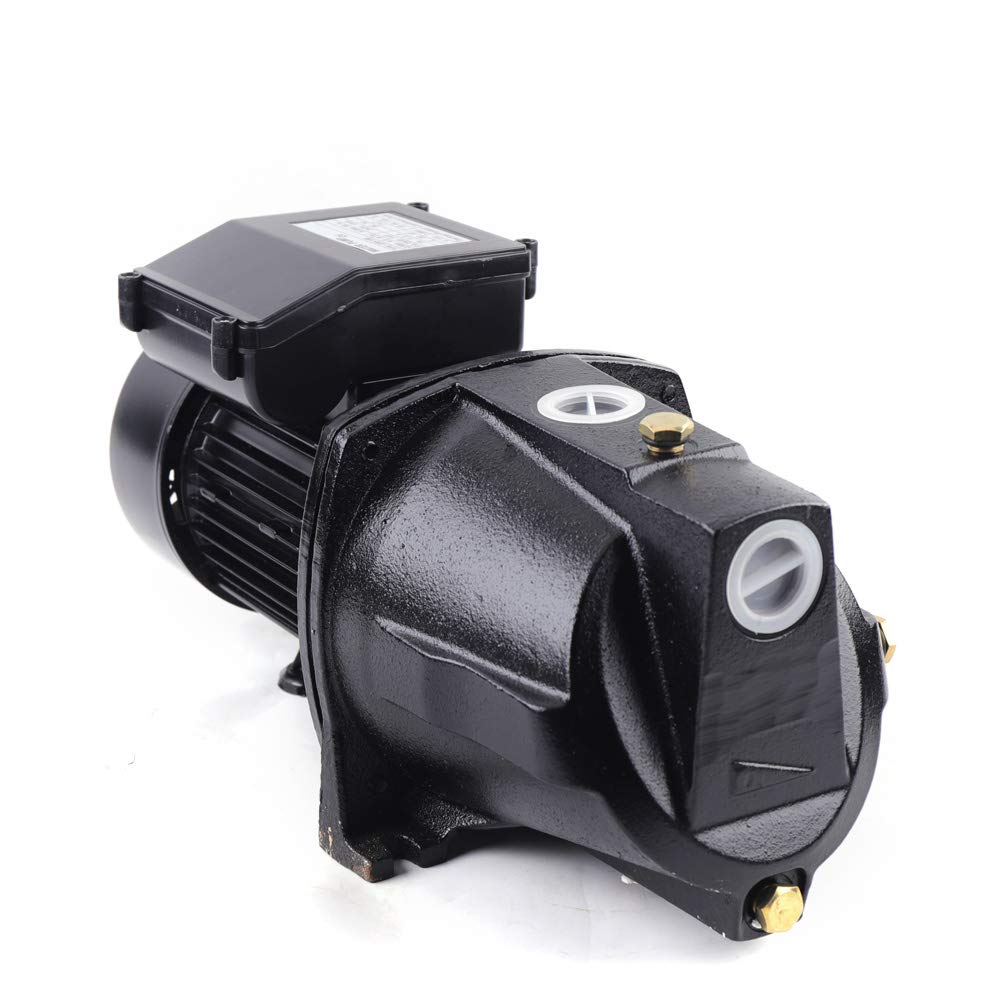1 HP Cast Iron Shallow Well Jet Pump with Pressure Switch - 1