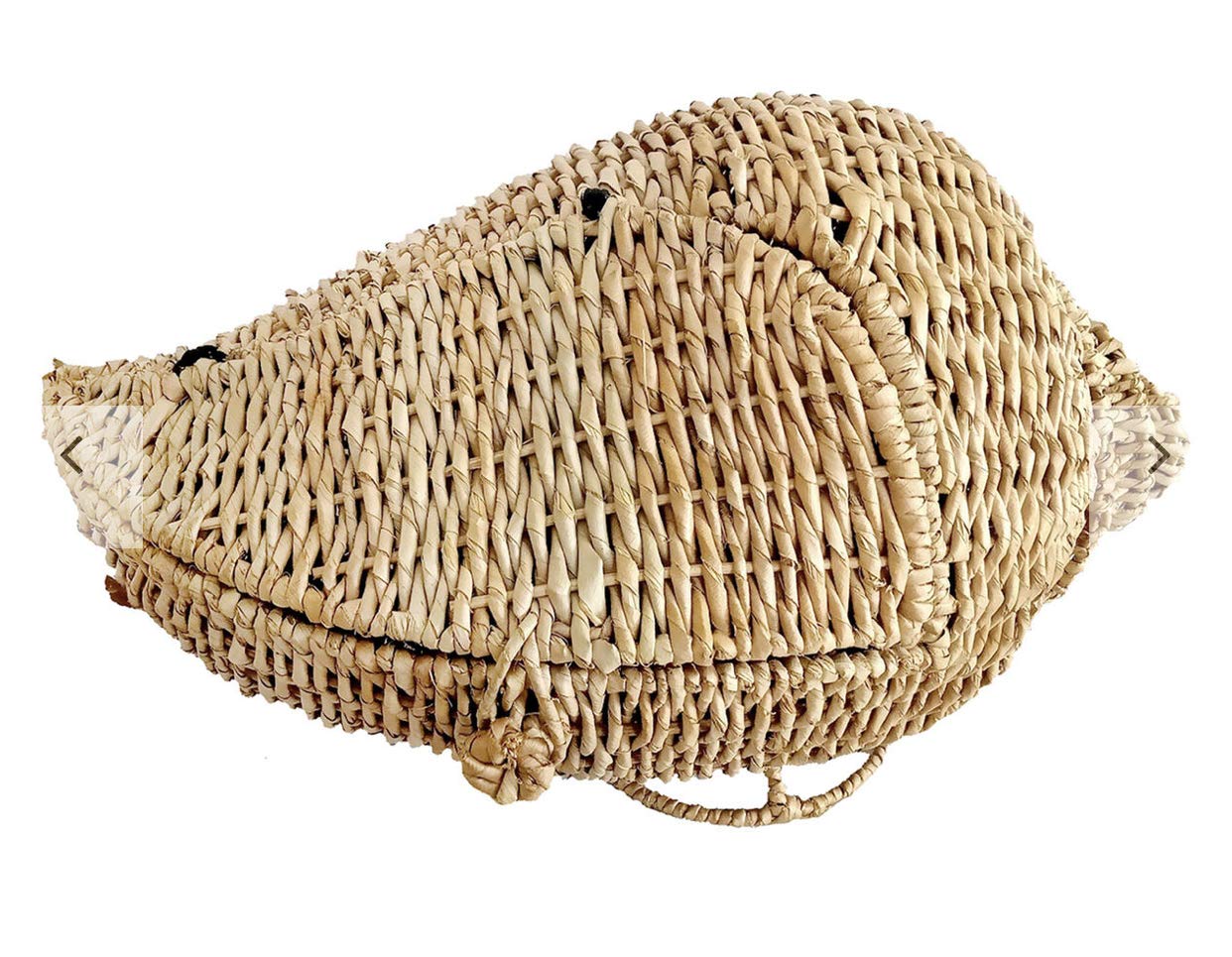13x15 Inch Woven Seashell Storage Basket - Natural Coastal Decor for Bathroom, Beach House & Farmhouse Style Organization | Perfect for Towels, Blankets & Home Decor