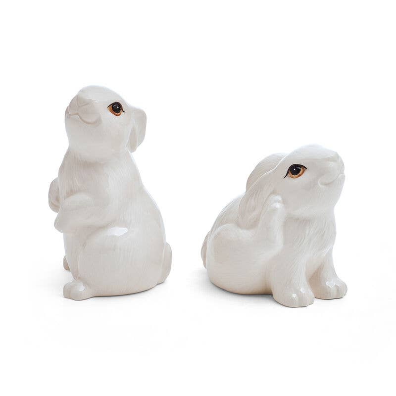 Fitz & Floyd Meadow Salt and Pepper Shaker Set - Brown Ceramic Spice Dispenser for Kitchen & Dining Table Decor