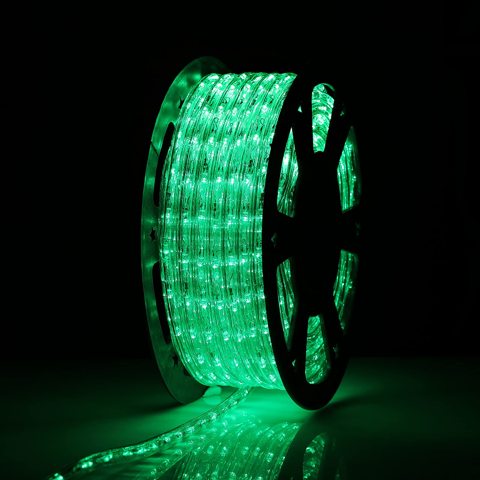 100ft Green LED Rope Lights Outdoor Waterproof - Decorative Lighting for Garden, Party, Bedroom & Christmas Decor - Indoor/Outdoor Use for Patio, Yard, Landscape & Holiday Lighting