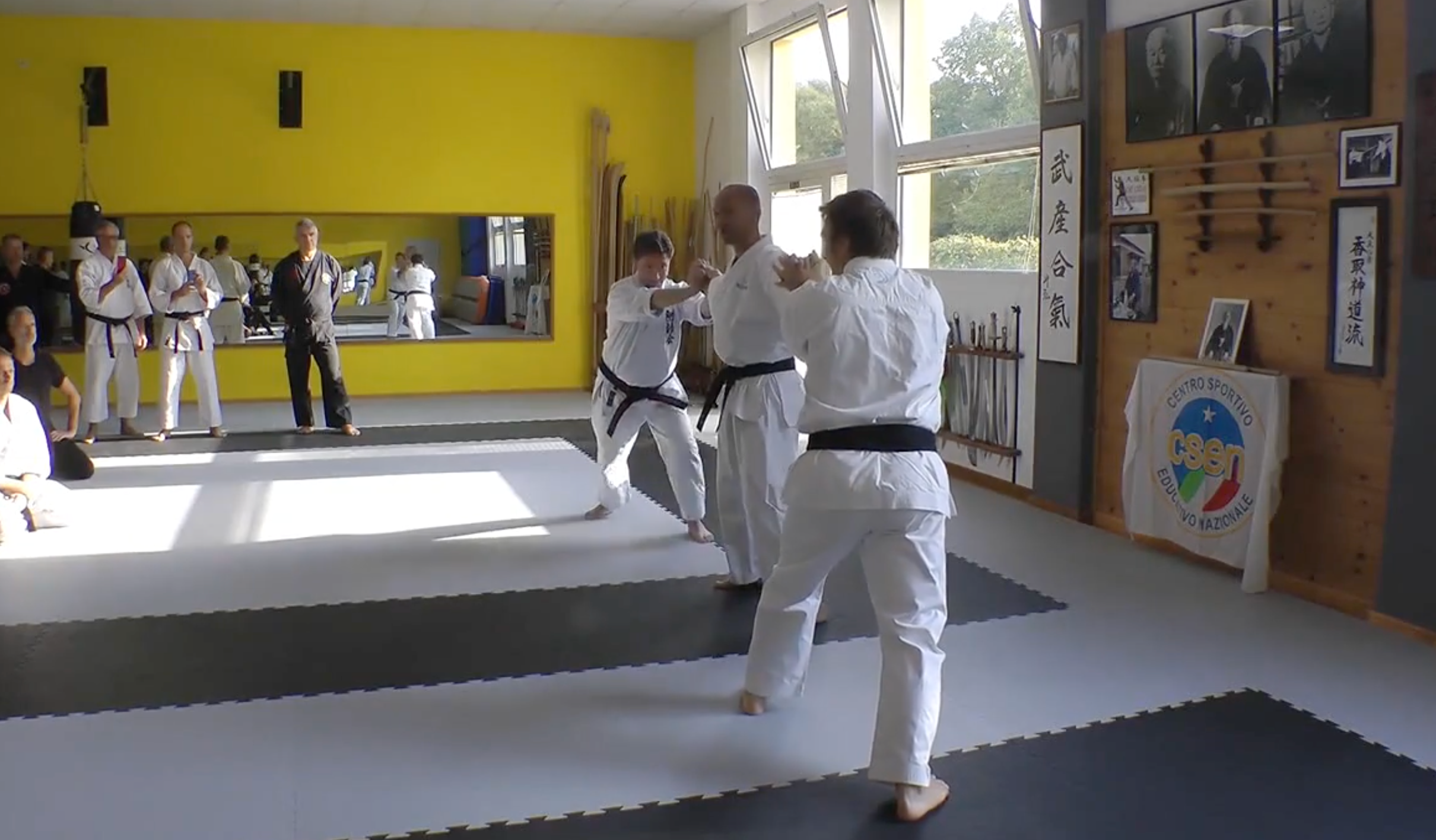 Become a Kyusho Instructor DVD 1 by Gianluca Frisan - Learn Pressure Point Techniques for Self-Defense & Martial Arts Training