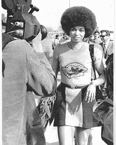 Angela Davis - 20x30 Inch Laminated Poster | Vibrant Colors & High-Quality Print | Perfect for Home Decor, Office Wall Art & Gift Ideas