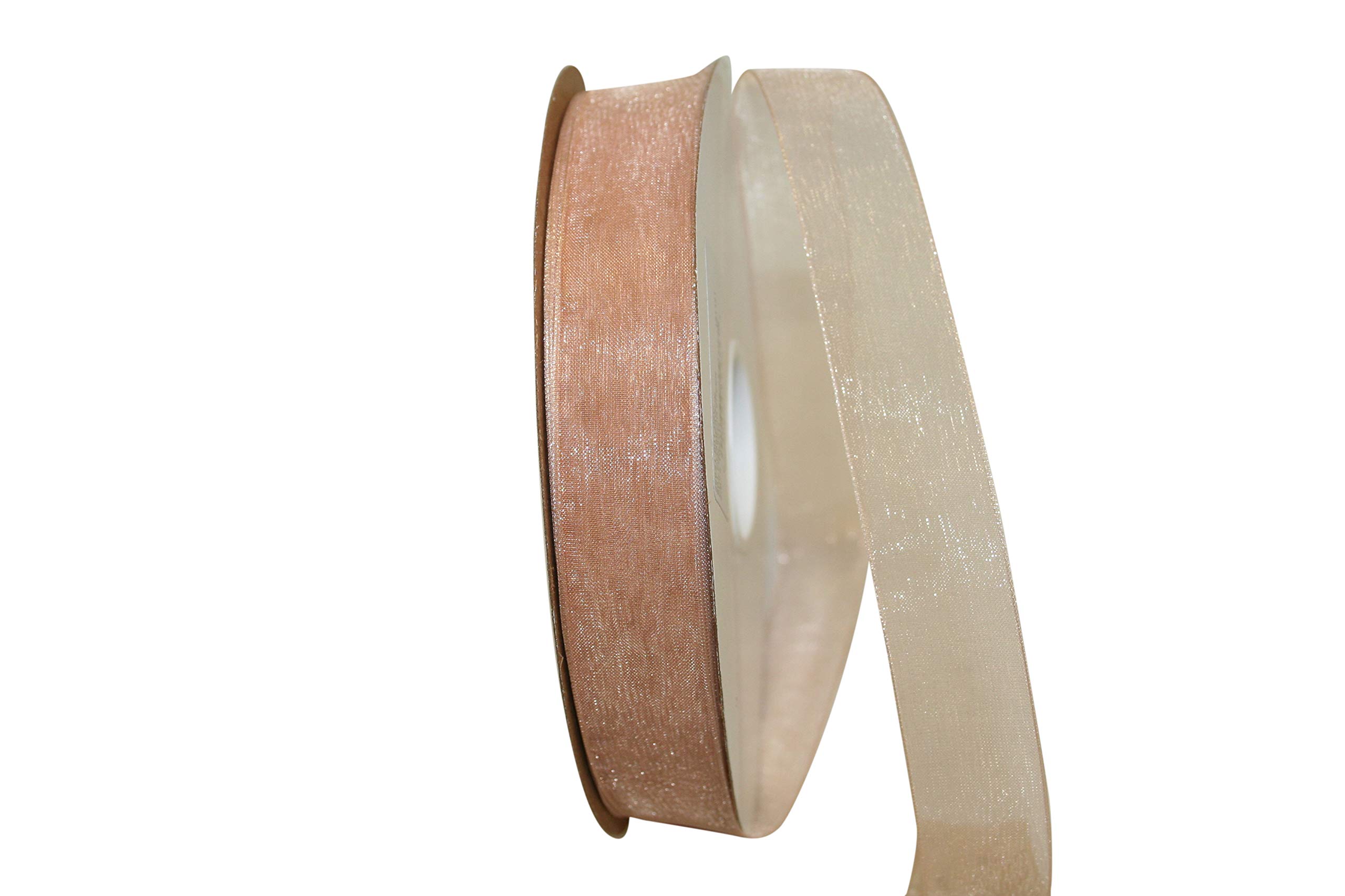 Reliant 7/8 Inch x 100 Yards Champagne Ribbon - Premium Chiffon Mono Sheer Ribbon for Gift Wrapping, Wedding Decorations & Craft Projects