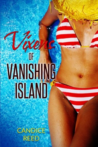 Vixens of Vanishing Island - Beach Literature Novel | Perfect for Summer Reading, Vacation Getaways & Book Club Discussions