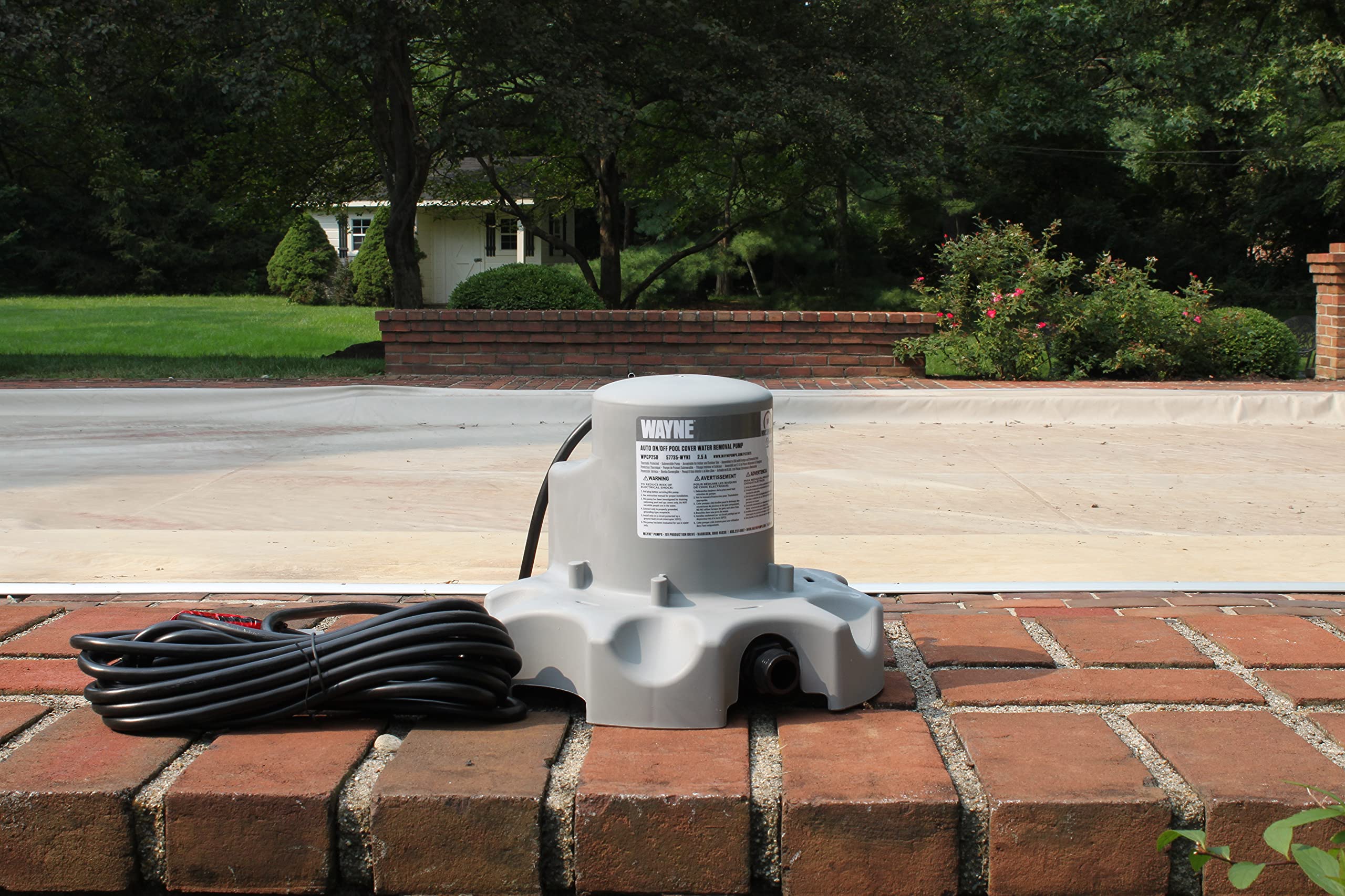 Wayne WPCP250 57735-WYN1 1/4 HP Automatic Pool Cover Pump with Magnetic Float Switch & 25ft Cord - Gray | Submersible Water Removal for Inground/Above Ground Pools, Spas & Flooded Areas