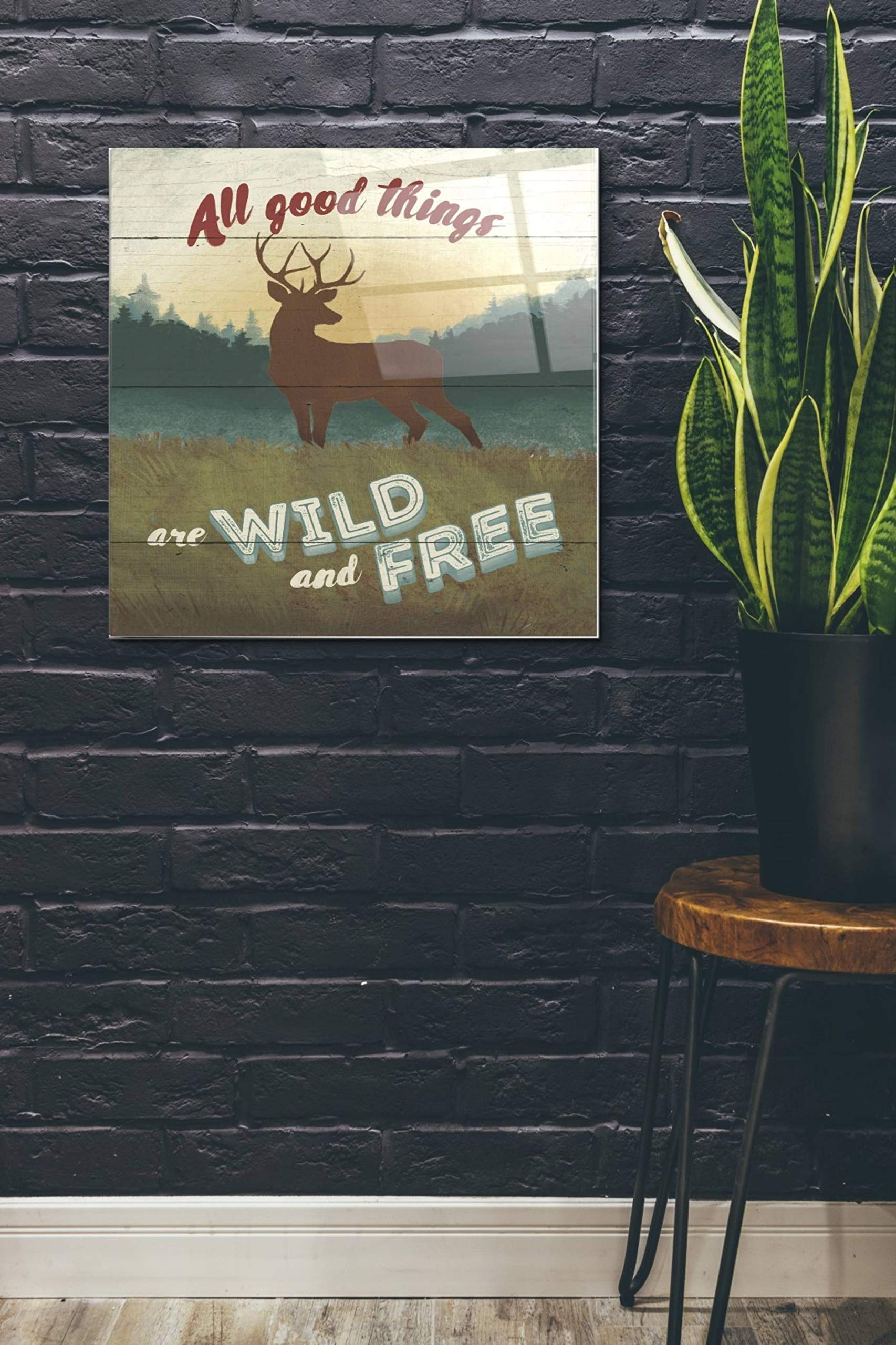 Epic Art 'Discover the Wild II' by Janelle Penner - 24x24 Inch Acrylic Glass Wall Art Painting - Modern Home & Office Decor for Living Room, Bedroom or Gallery Display