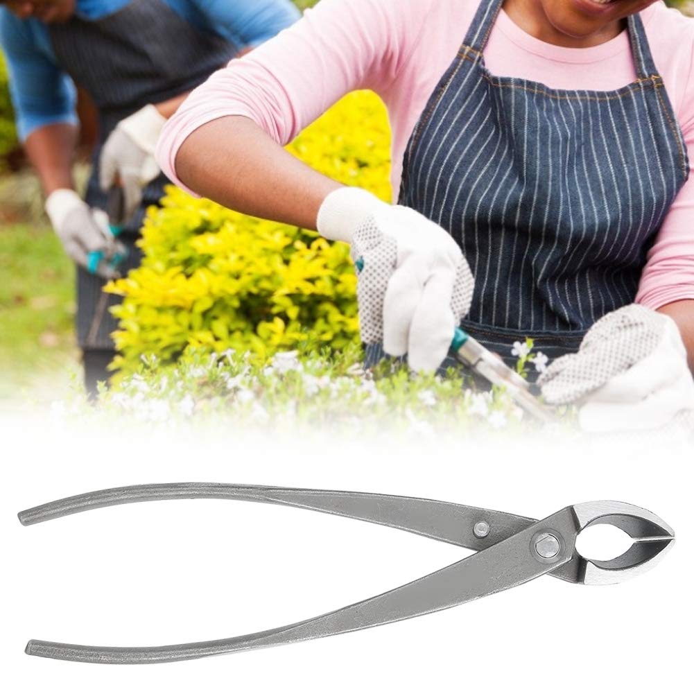 Professional Bonsai Root & Branch Cutter - Manganese Steel Concave Pruning Shears for Bonsai Trees, Shrubs & Plants | Perfect for Gardening, Landscaping & Bonsai Care