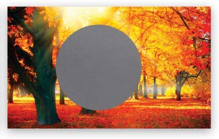 2500 Pack 1.5 Inch Silver Round Scratch Off Stickers - DIY Lottery Tickets for Gender Reveal Parties, Bridal Showers, Prize Games & Events - Perfect for Birthday Surprises, Classroom Rewards and Fundraising Activities