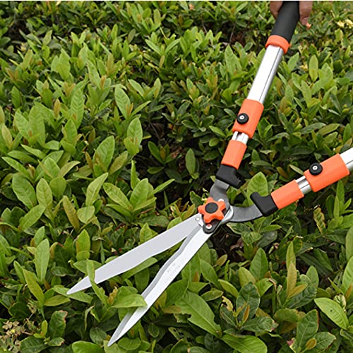 Professional Garden Pruning Shears - Heavy Duty Tree Trimmer & Hedge Clippers, Sharp Gardening Hand Tool for Branches, Lawn & Shrub Cutting - Perfect for Landscaping, Yard Maintenance & DIY Gardening Projects