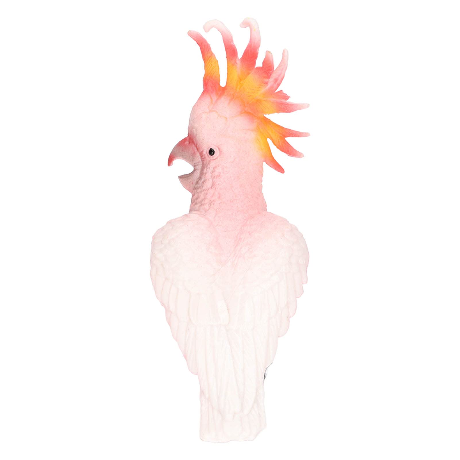 FUWE Realistic Bird Model Toy - PVC Collectible Figurine for Home Decor, Educational Gift & Classroom Teaching Aid | Perfect for Nature Lovers, Kids Learning & Interior Design
