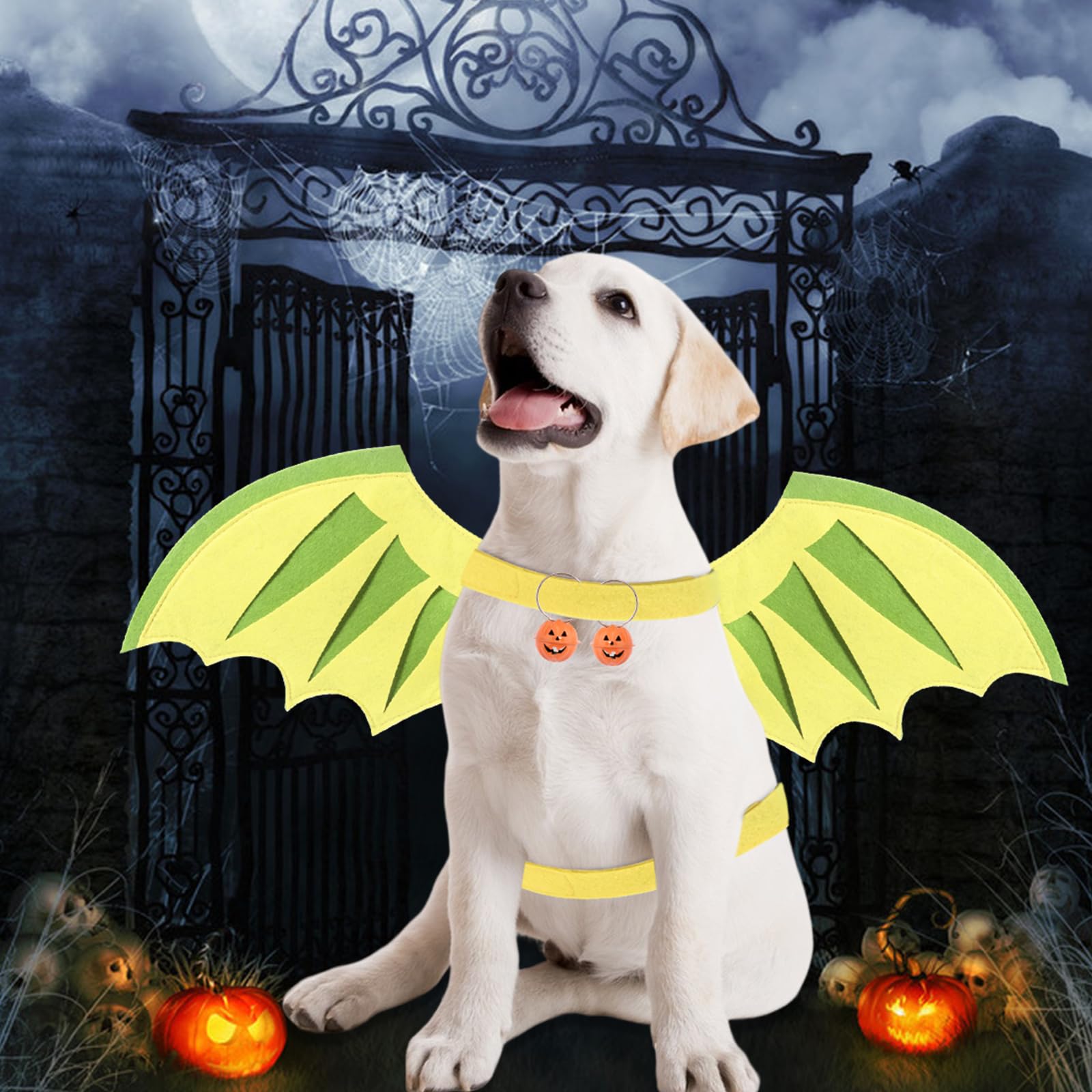 Halloween Dog Wings Costume - Dragon & Dinosaur Wings for Small Medium Large Dogs | Pumpkin Bells Pet Costume Accessories for Christmas, Birthday Parties & Cosplay Events
