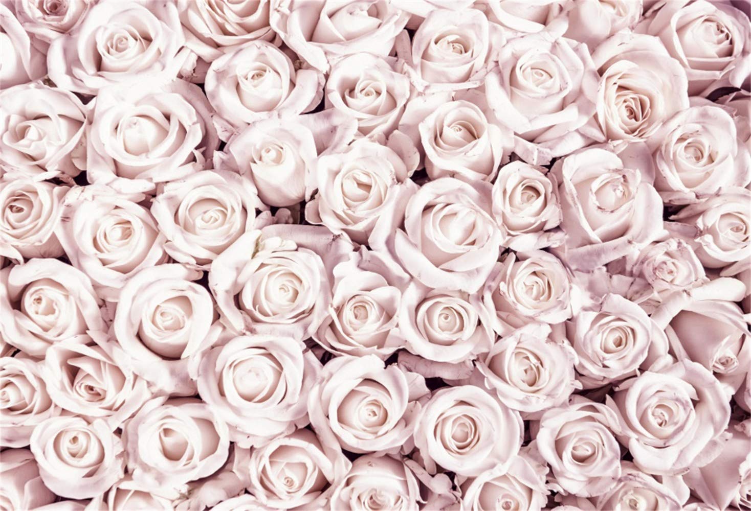Graceful Nude Pink Rose Flowers Photography Backdrop 7x5ft Vinyl - Valentine's Day, Wedding, Bridal Shower, Engagement Photo Shoot Background for Romantic Scenes & Party Decor