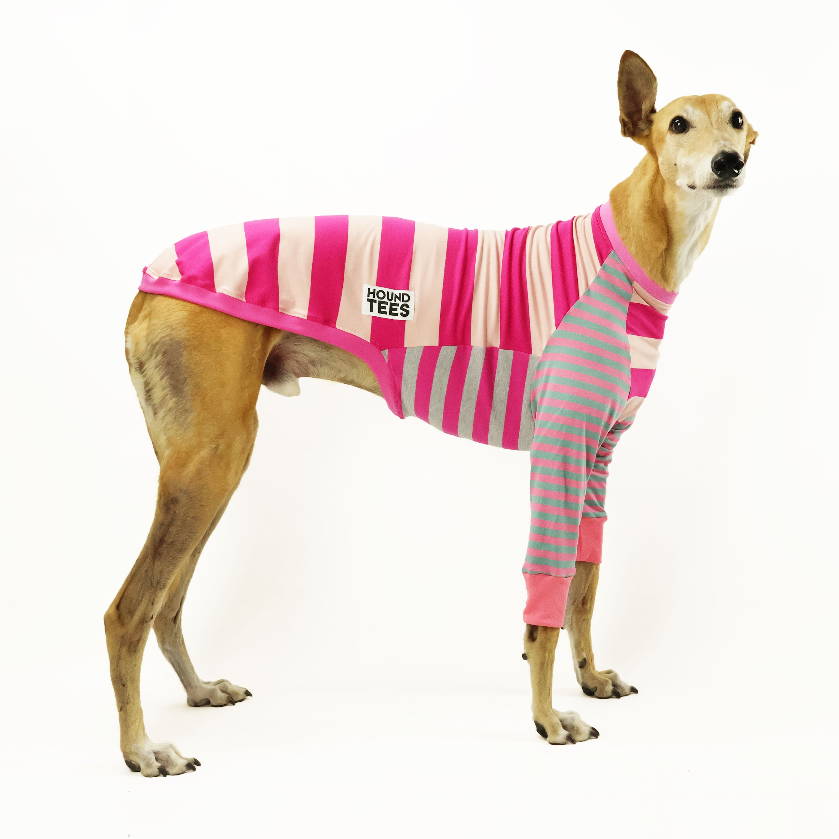 Frankie Pinkie Greyhound Hound Long Sleeve T-Shirt for Dog Lovers - Comfortable Casual Wear for Pet Owners, Dog Walks & Outdoor Activities
