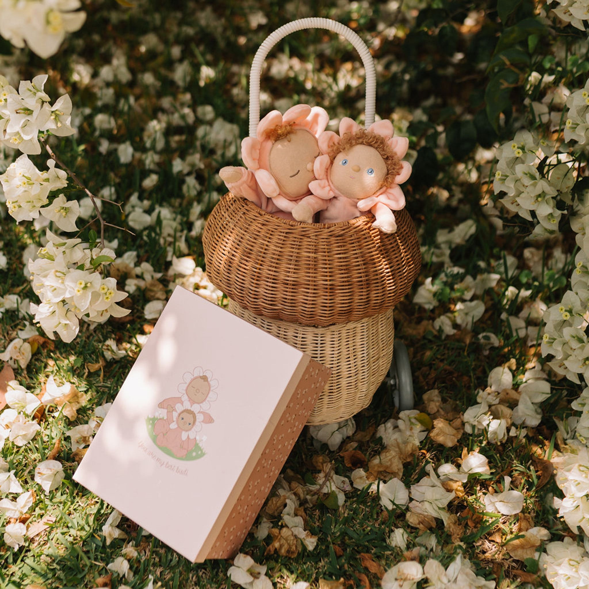 Limited Edition Blossom Buds Tulip Gift Set - Perfect for Mother's Day, Valentine's Day & Birthday Presents