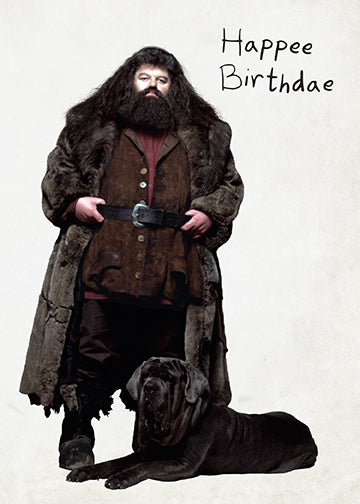 Harry Potter Birthday Cake Pop Up Greeting Card - Perfect for Birthday Wishes, Anniversary & Special Occasions