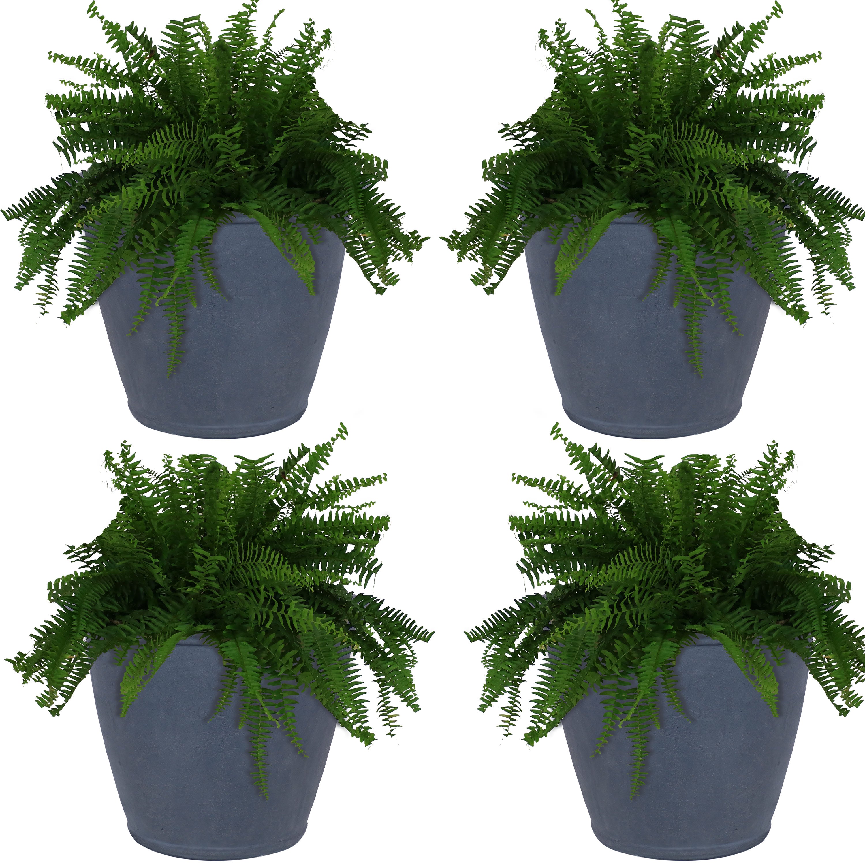 Sunnydaze Anjelica Polyresin Outdoor Flower Pot Planter - Durable Garden Decor for Patio, Balcony & Yard - Perfect for Flowers, Plants & Home Landscaping