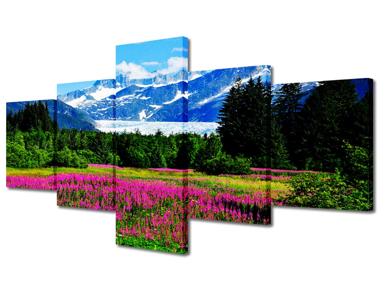 5-Panel Panoramic Canvas Wall Art - Glacier, Alaska Mountains, Flowers & Forest Landscape - Ready to Hang Picture Frames for Living Room, Bedroom & Home Office Decor | Perfect for Nature Lovers & Modern Interior Design