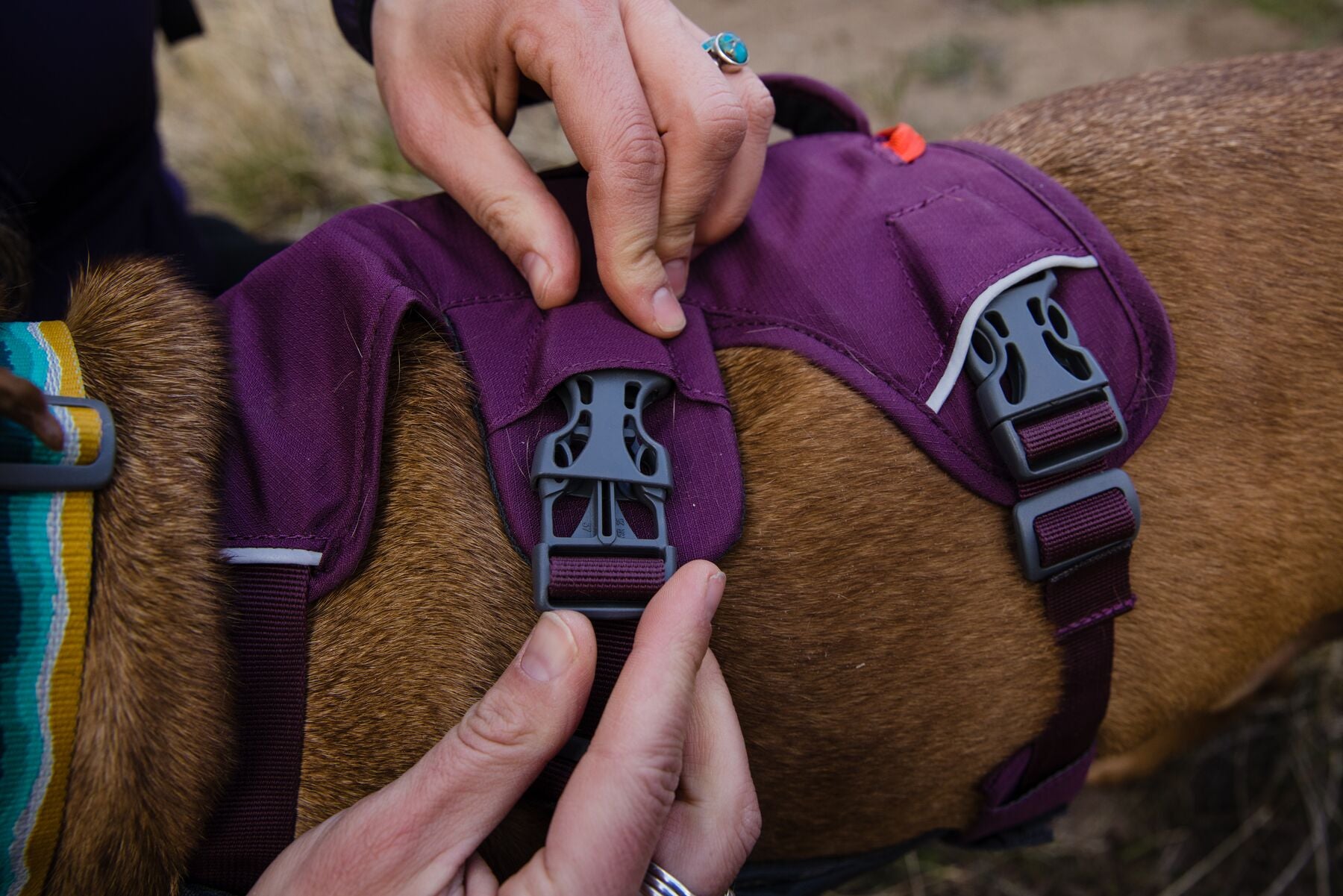 Ruffwear Web Master Harness® - Adjustable Multi-Use Dog Harness with Handle in Red Sumac for Hiking, Running & Outdoor Adventures
