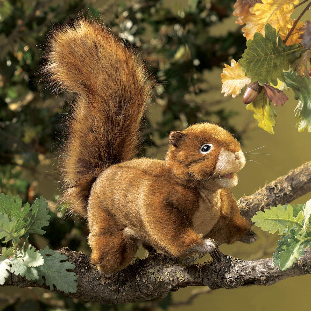 Folkmanis Red Squirrel Hand Puppet - Realistic Animal Puppet for Storytelling, Education & Play - Perfect for Teachers, Parents & Kids (Interactive Toy for Classroom & Home Use)