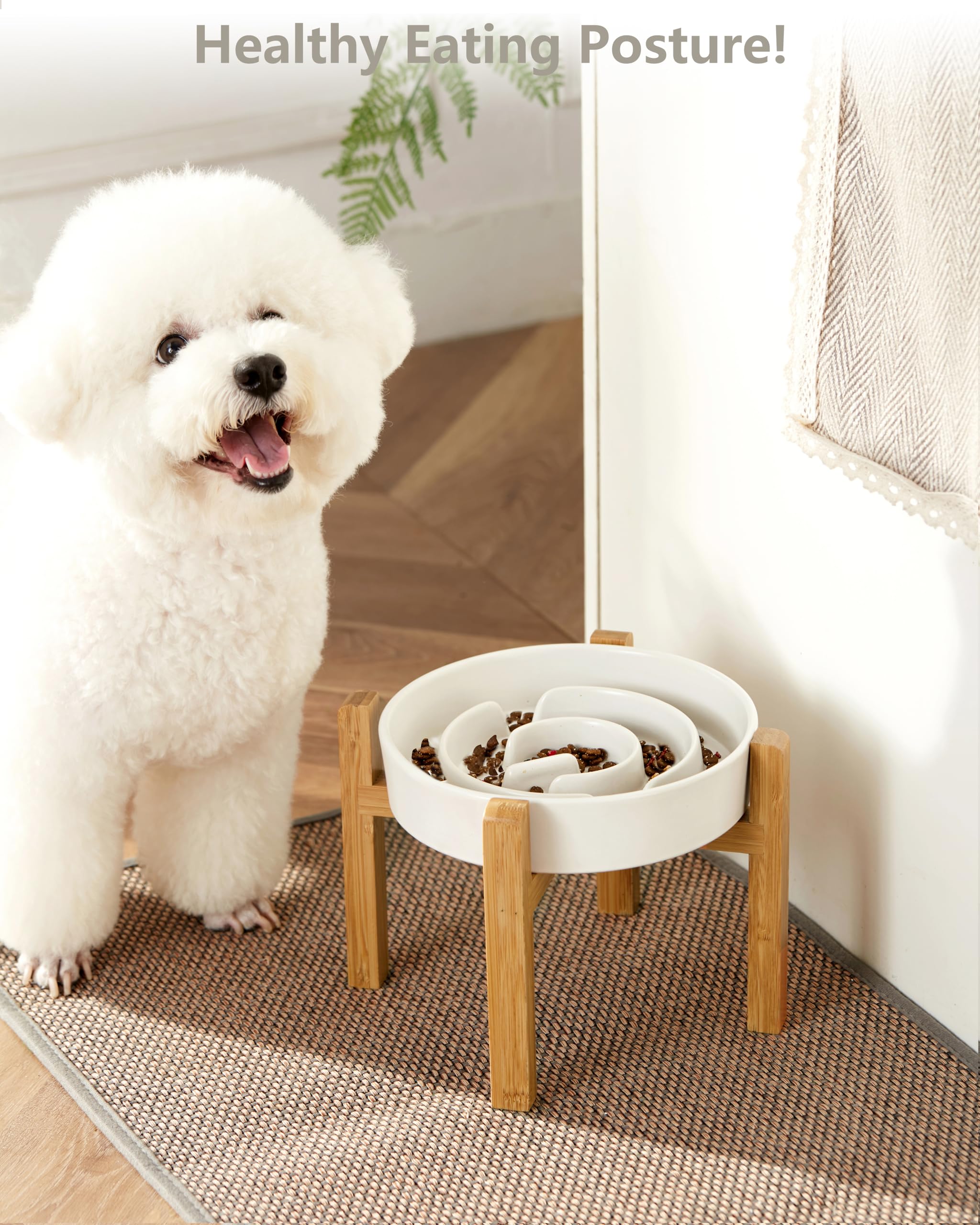 Ceramic Slow Feeder Dog Bowl - 2 Cup Elevated Puzzle Maze Bowl for Medium & Large Dogs (30oz/8in White) - Helps Prevent Bloat & Improve Digestion - Perfect for Fast Eaters & Mealtime Enrichment