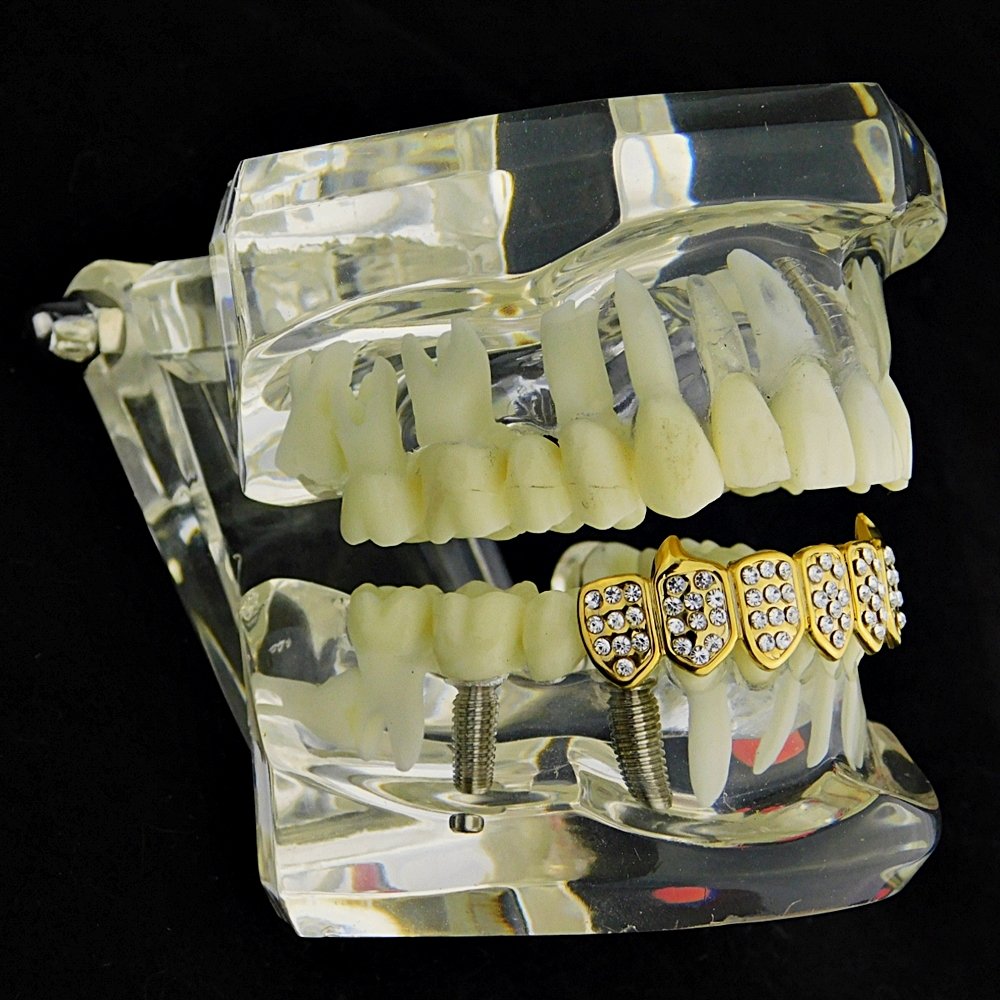 14K Gold Plated Fang Grillz - 8 Bottom Teeth Vampire Grills for Hip Hop & Halloween Costume | Perfect for Rappers, Parties & Unique Style
