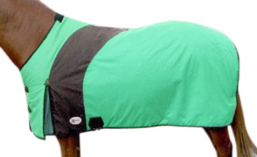 Intrepid International Prima Medium Weight Turnout Blanket for Horses - Waterproof & Breathable Horse Blanket for Winter & Outdoor Riding