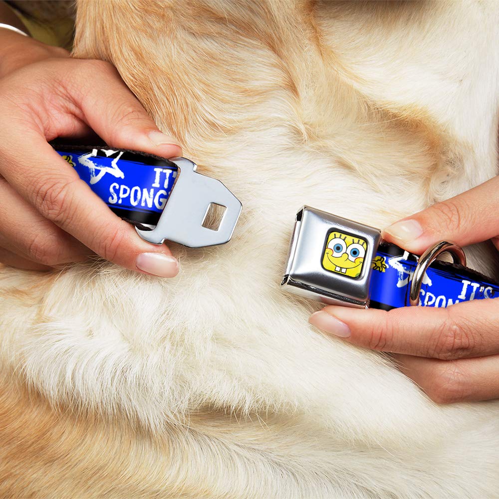 SpongeBob Dog Collar with Seatbelt Buckle - Adjustable 11-17 Inches, 1.0 Inch Wide - Black, Blue & White Striped Pet Safety Harness for Car Rides & Outdoor Adventures