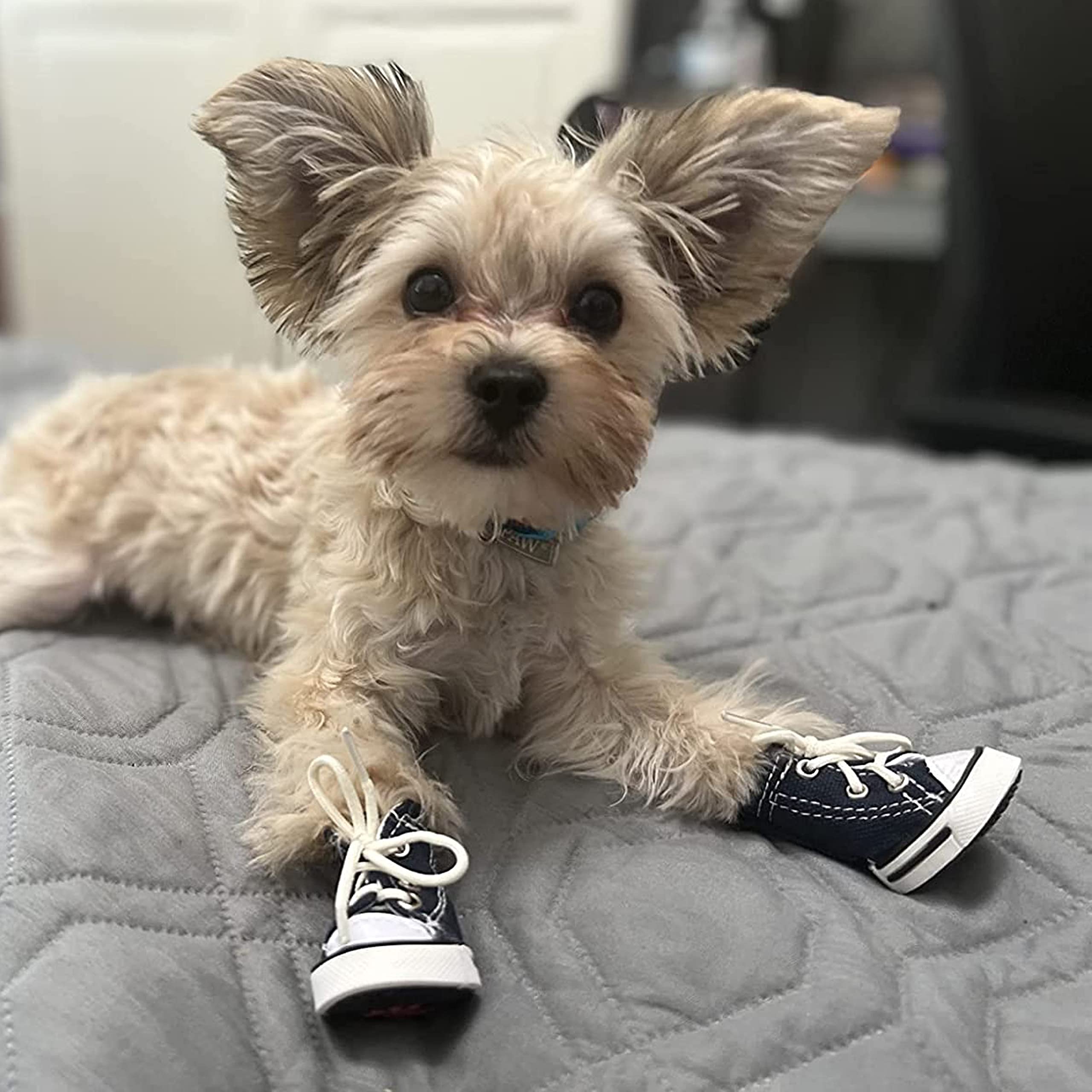 **Waterproof Dog Boots for Small, Medium & Large Dogs - Anti-Slip Pet Shoes for Hot Pavement, Snow & Outdoor Adventures (Size 7, Blue) - Perfect for Walking, Hiking & Winter Protection**