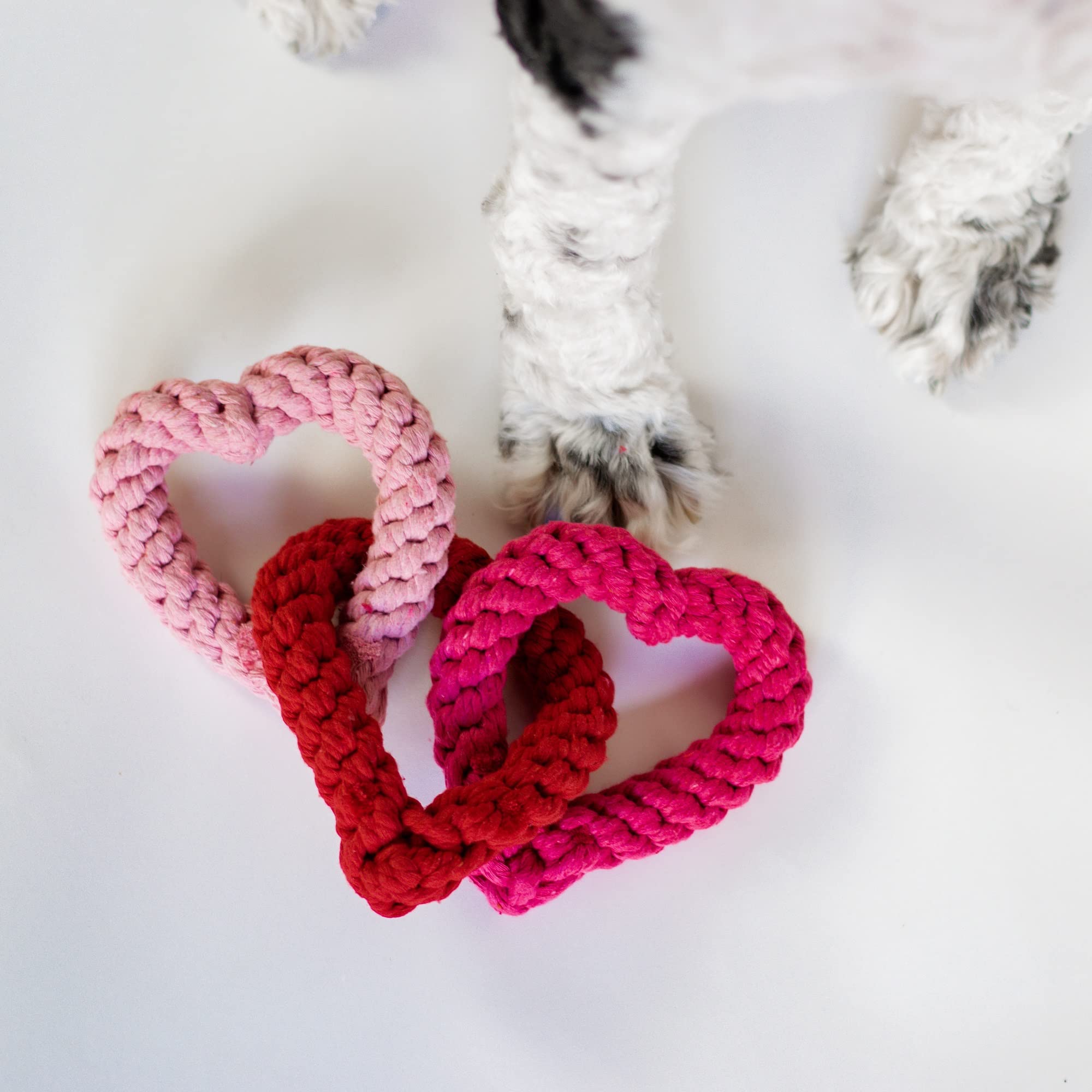 Midlee Interlocking Heart Rope Valentine Dog Toy - 6 Inch Pink & Red Small Tug Toy for Puppies - Perfect for Valentine's Day Playtime, Training, and Bonding with Your Pet