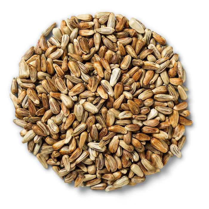 NutraSaff Safflower Wild Bird Seed for Cardinals & Finches - Premium 5lb Bag - Attract Beautiful Birds to Your Backyard Garden or Bird Feeder