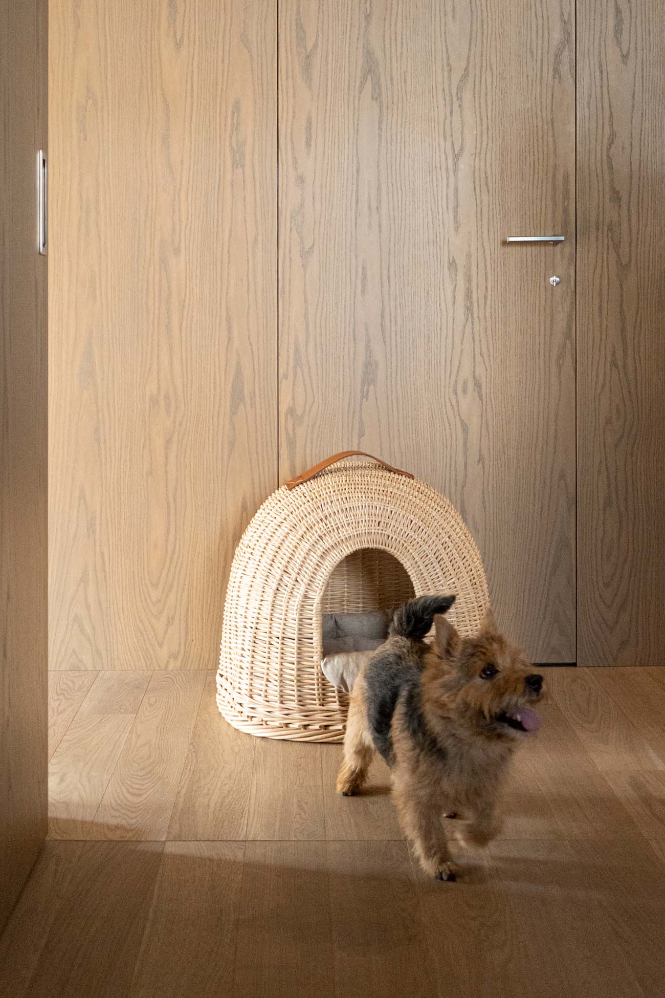 Premium Insulated Dog House for Small to Medium Dogs - Weatherproof Outdoor Pet Shelter for Year-Round Use - Perfect for Backyard, Patio & Camping Trips