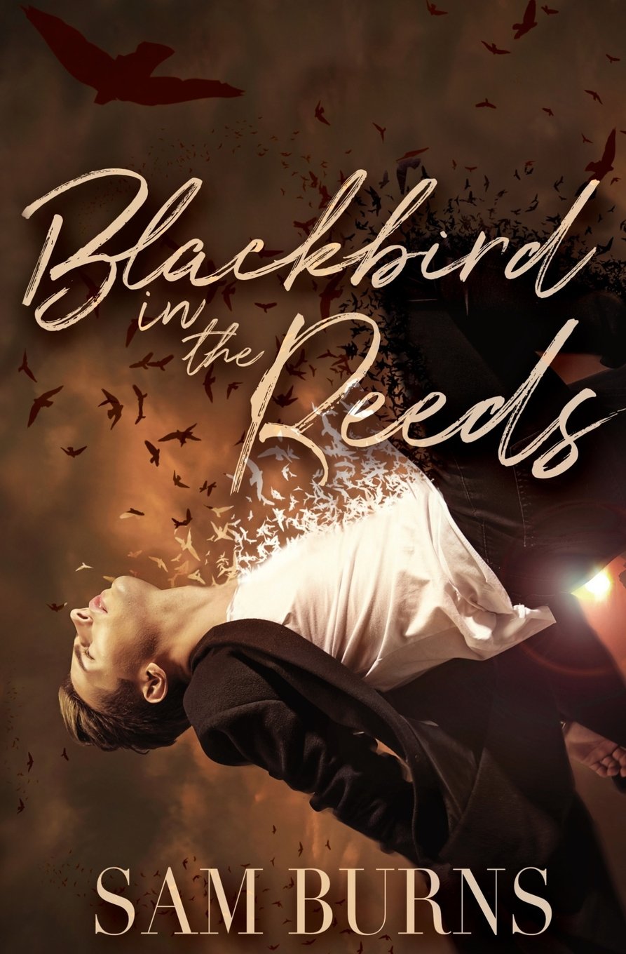 Blackbird in the Reeds - The Rowan Harbor Cycle Book | Fantasy Mystery Novel for Adults | Perfect for Book Clubs & Cozy Reading