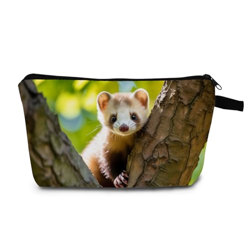 Animal Ferret