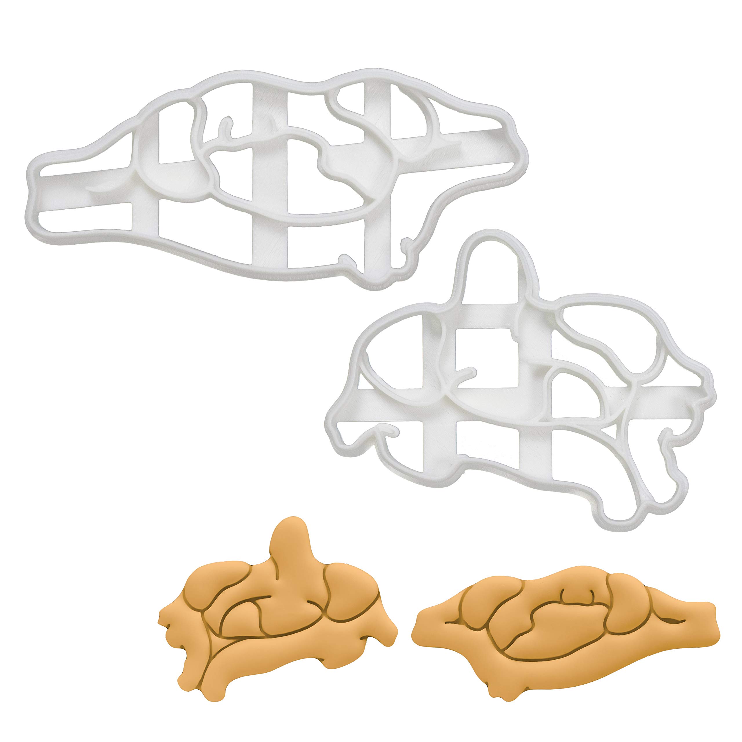 2-Piece Vertebra Cookie Cutters Set - Atlas & Axis Designs for Baking | Perfect for Halloween, Science-Themed Parties & Unique Gifts