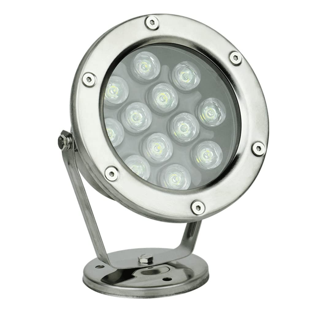 Braiton 12W Low Voltage 24V Submersible LED Pool Light - Red Underwater Fountain Spotlight for Ponds, Swimming Pools & Water Features | Perfect for Landscape Lighting, Garden Decor & Backyard Water Displays