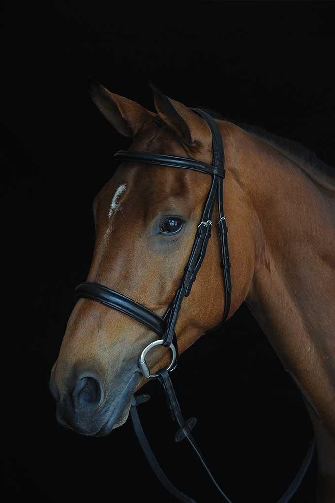 Premium Collegiate Comfort Crown Padded Raised Cavesson Bridle for Warmblood Horses - Soft Brown Leather Equestrian Headgear for Dressage & Show Jumping