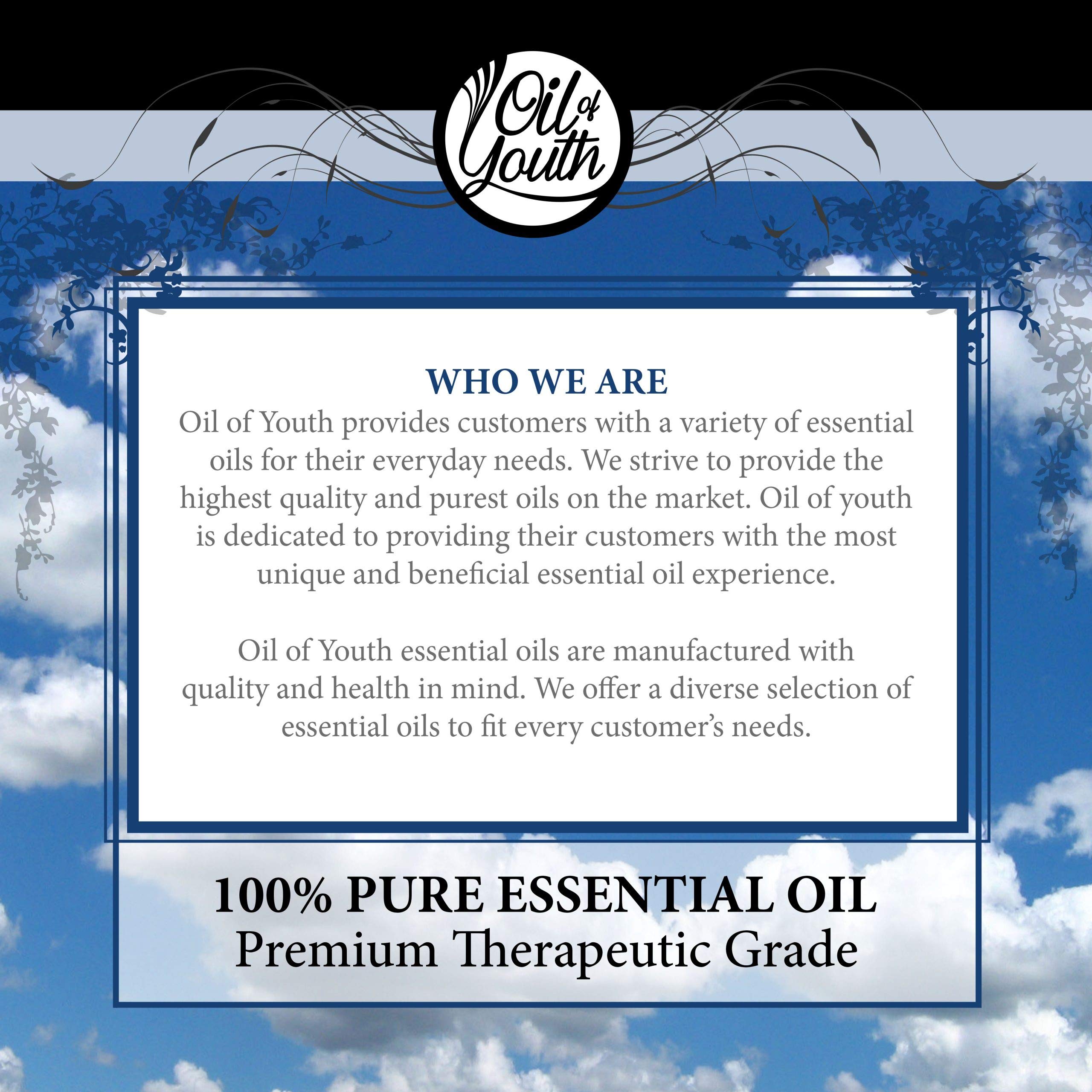 Pure Pine Essential Oil (16oz Bulk) - 100% Natural for Cleaning, Pest Control, Aromatherapy & Diffusers | Use for Home Freshening, DIY Cleaning Products & Relaxation