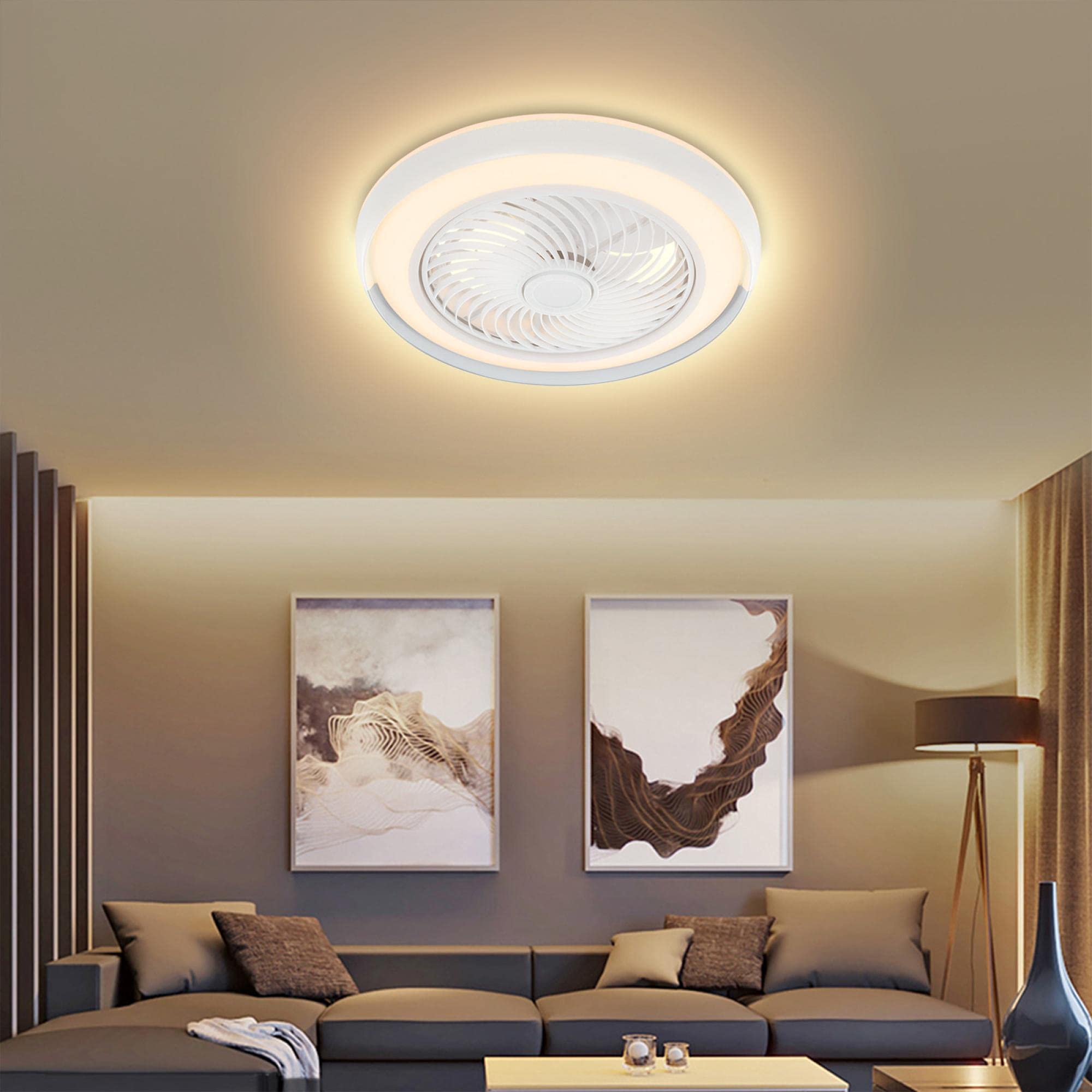TANGNADE 20 Inch Bladeless Ceiling Fan with Dimmable LED Light and Remote Control - Low Profile Modern Invisible Fan for Bedroom, Office, Living Room (Silver) | Quiet Cooling & Stylish Lighting Solution