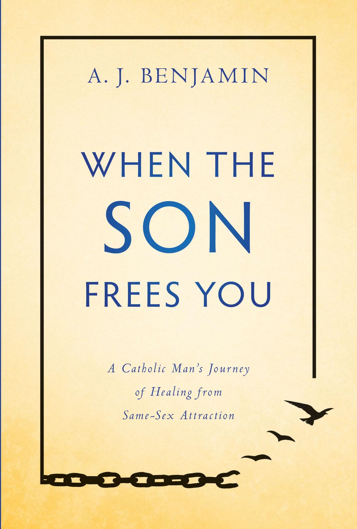 When the Son Frees You: A Catholic Man's Journey of Healing From Same-Sex Attraction - Christian Spiritual Growth Book for Men, Faith-Based Recovery & Personal Transformation - Perfect for Bible Study & Prayer Groups