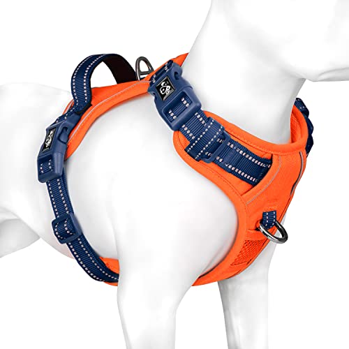 Orange Base & Blue Straps