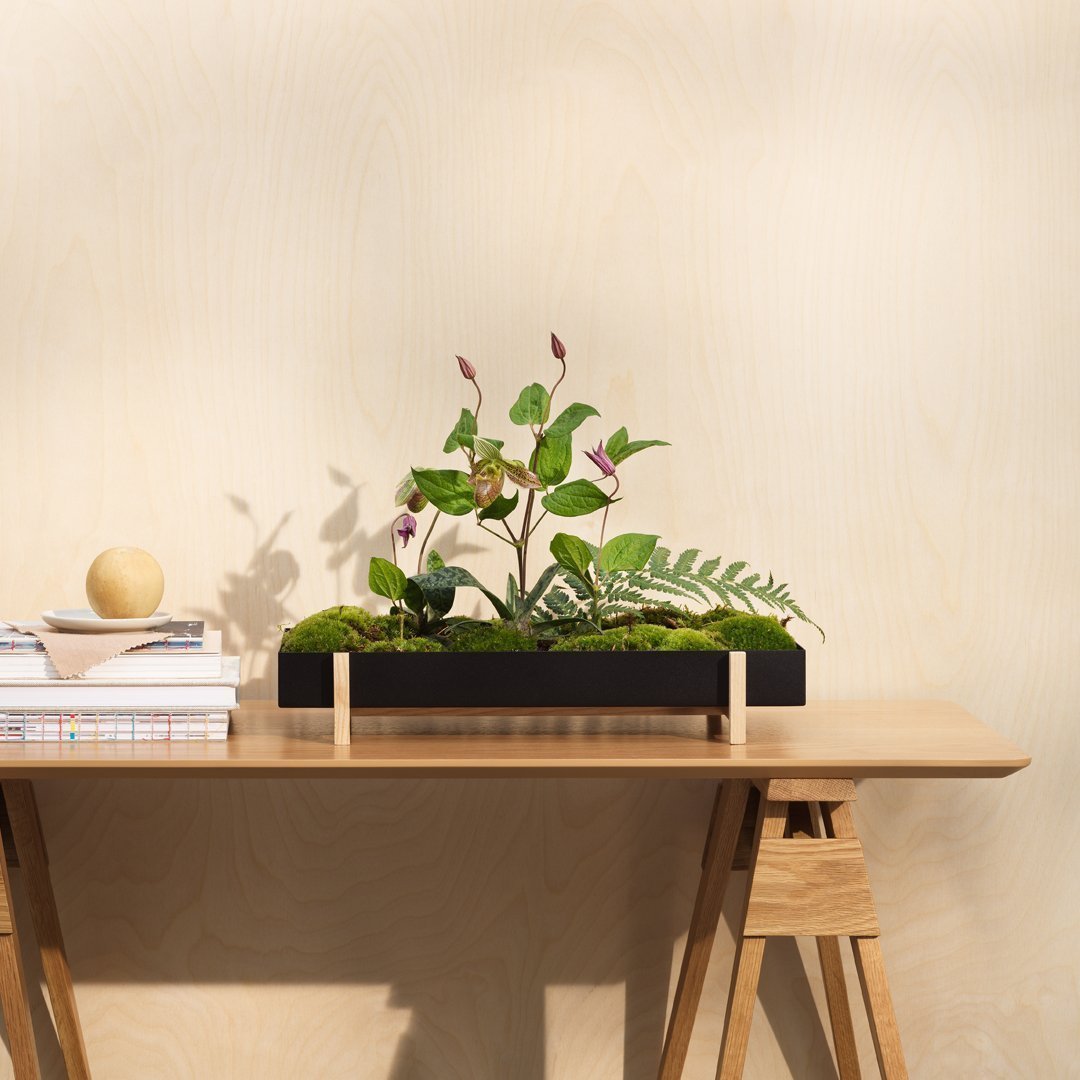 Atelier Botanic Tray - Elegant Home Decor Tray from Design House Stockholm - Perfect for Coffee Table, Bathroom & Living Room Organization