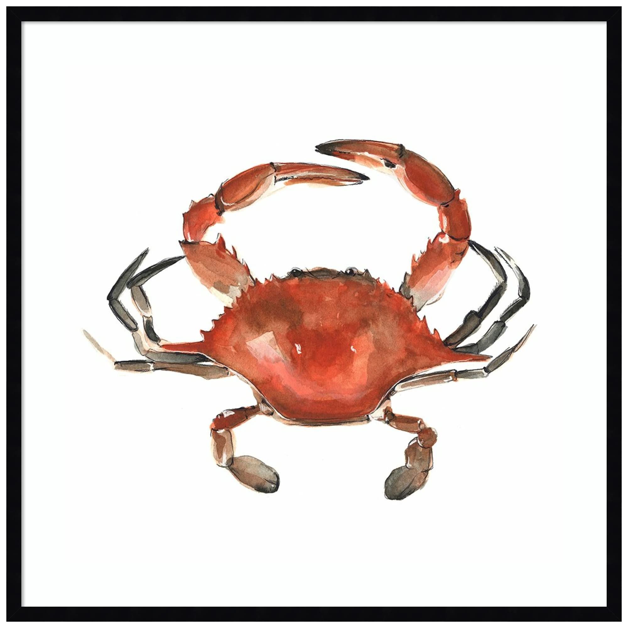 Emma Scarvey Watercolor Crab Wall Art Print - 33x33 Inch Wood Framed Canvas Painting, Svelte Noir Black Frame - Coastal & Beach Decor for Living Room, Bedroom, Office