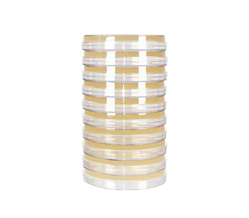 Pre-Poured Potato Dextrose Agar-II (PDA) with Tartaric Acid - 10 Pack of 15x100mm Petri Dishes for Mushroom Cultivation, Yeast & Mold Isolation | Lab Testing, Mycology Research, Food Safety Analysis