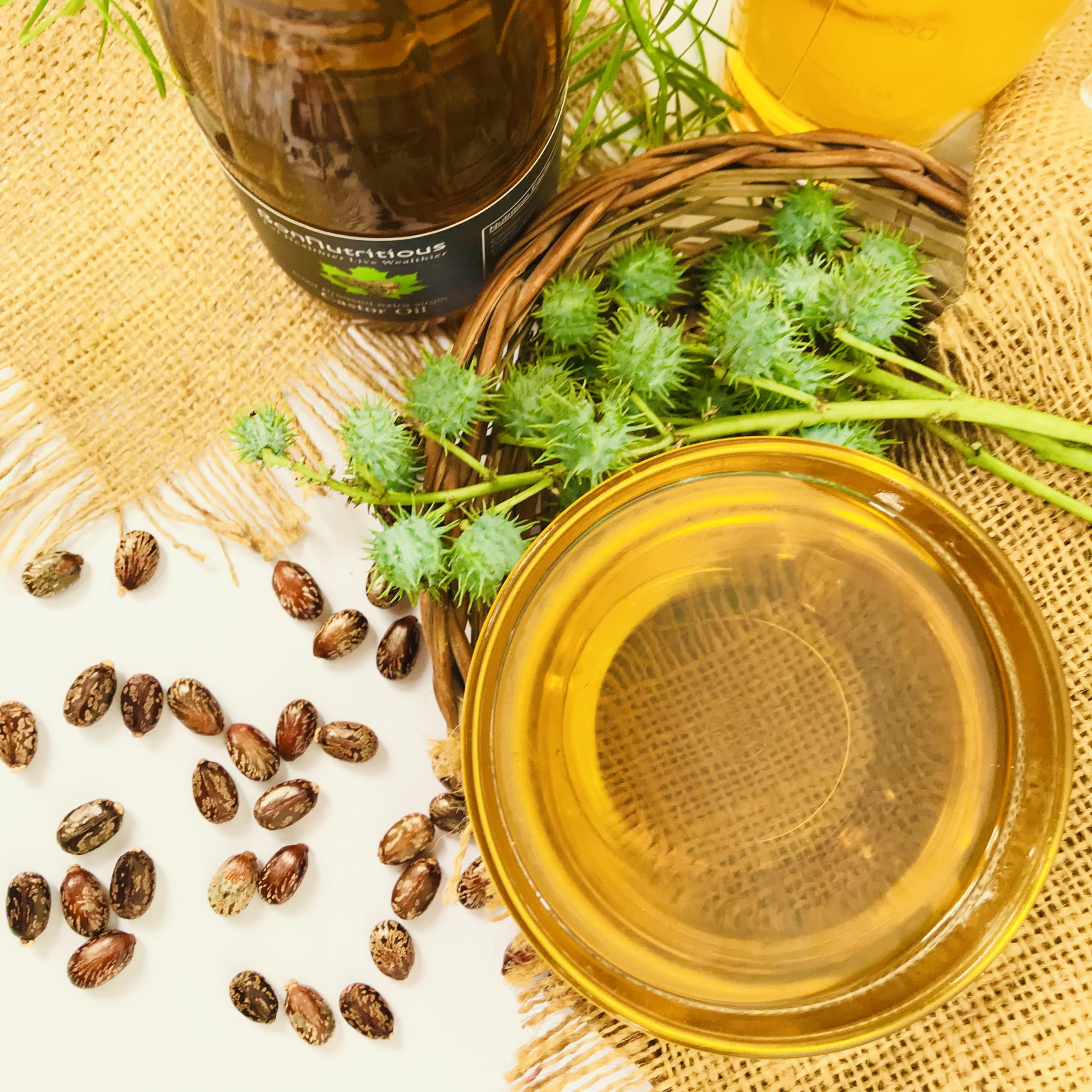 Bonnutritious Cold-Pressed Extra Virgin Castor Oil for Hair Growth & Skin Care - 100% Pure Natural Vilakennai Oil - 500mL - Perfect for DIY Beauty Treatments, Eyelash Growth & Massage Therapy