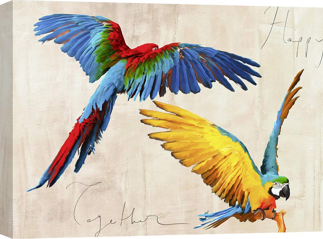 Art Print Cafe - Parrots Canvas Painting - Teo Rizzardi 'Happy Together' Wall Art - 80x60 cm - Perfect for Living Room, Bedroom & Office Decor