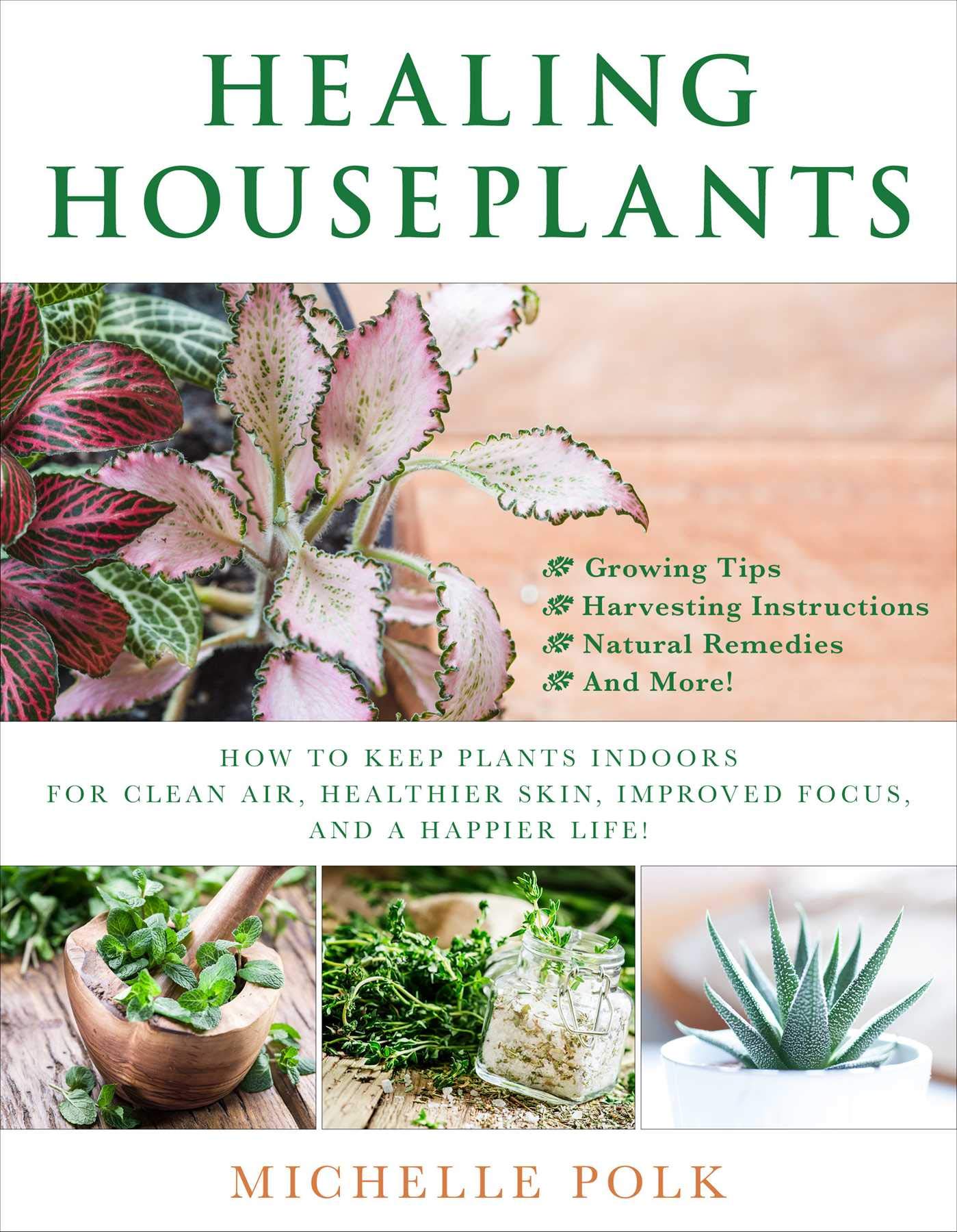 Healing Houseplants: Indoor Plants for Clean Air, Healthier Skin, Better Focus & Happiness | Home & Office Wellness Decor