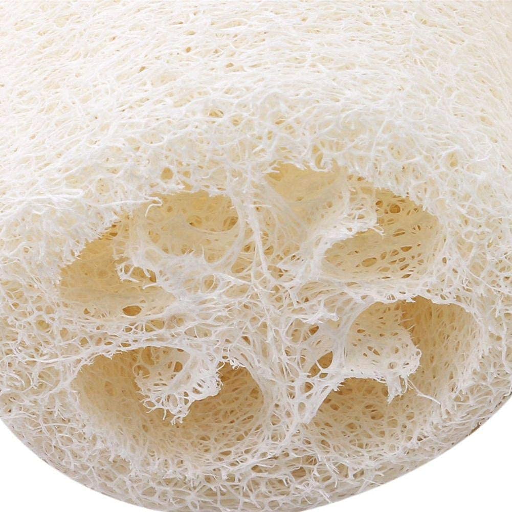 5-Pack Premium Natural Loofah Sponge - Exfoliating Body Scrubber for Shower, Bath & Spa | Eco-Friendly Loofah Sponge for Skin Care, Kitchen & Dish Cleaning | Perfect for Exfoliation, Detox & Relaxation