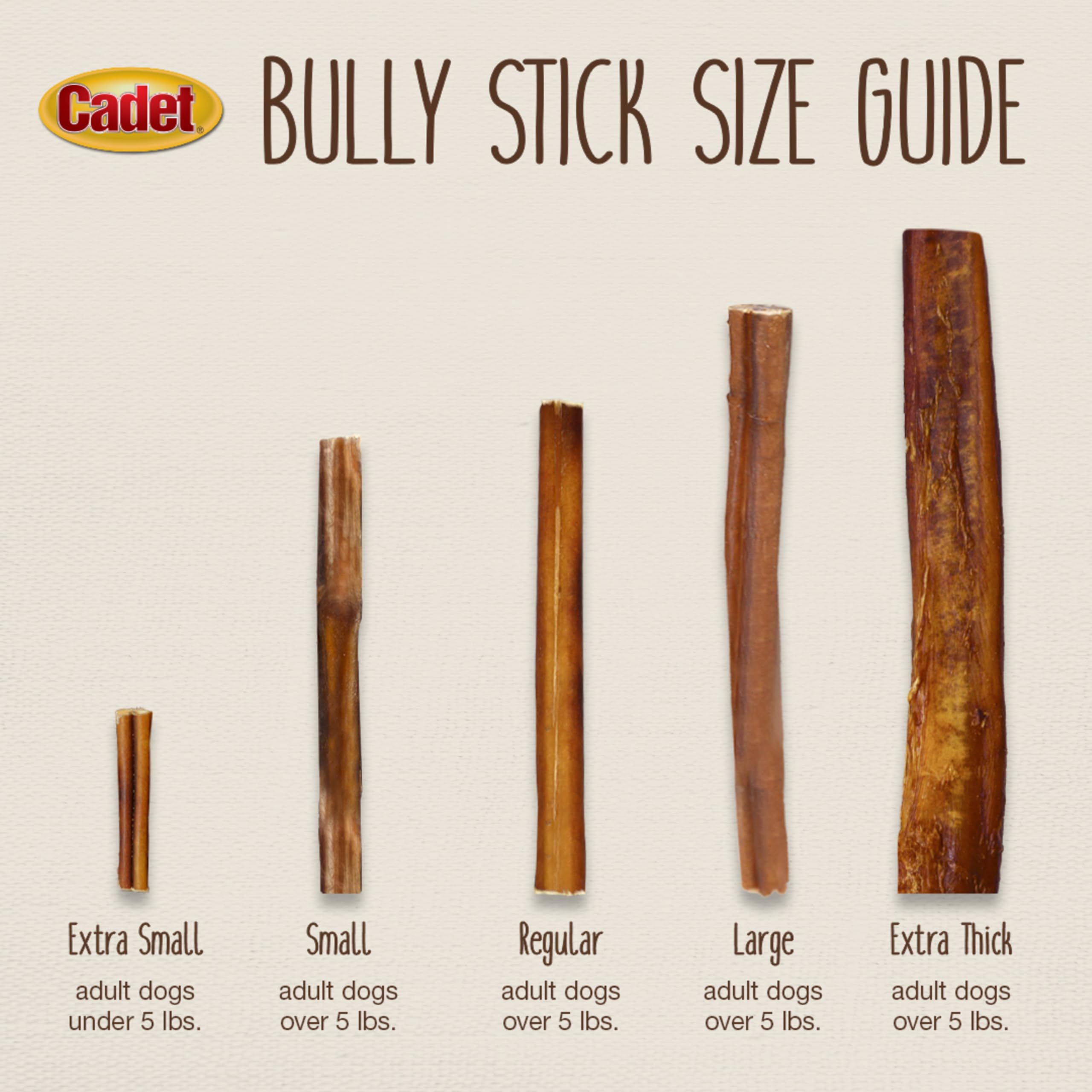 Premium Natural Beef Bully Sticks for Small Dogs – Grain-Free, High Protein, Low Fat Dog Chews – Long-Lasting Dental Treats for Aggressive Chewers (50 Count) – Perfect for Training Rewards & Anxiety Relief